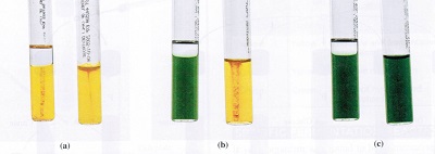 Oxidation Fermentation Test - Principle, Purpose, Biochemistry, Media ...